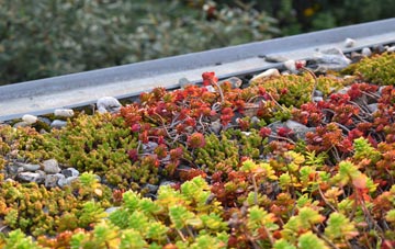 the cost of Scout Dike green roof installation