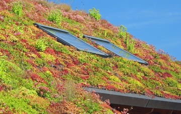 Scout Dike living roof systems