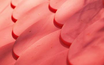 Scout Dike plastic roof costs